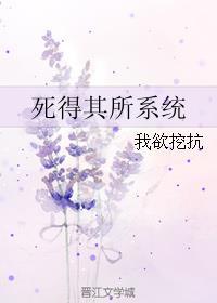 死得其所系统txt