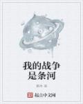 这是我的战争律师有什么用