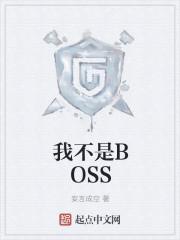 我不是boss