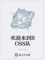 欢迎来到BOSS队 全集txt免费