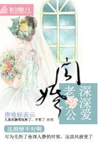 闪婚老公是神秘首富