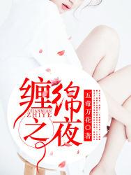 缠绵之夜车文总裁