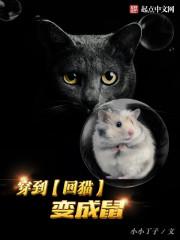 穿到网王变成猫