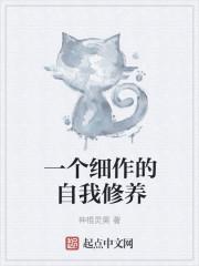 一个细作的自我修养叫什么