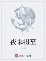 夜晚将至什么意思