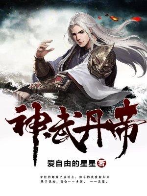 神武丹帝TXT完整版