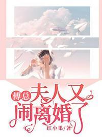 傅总夫人又闹离婚了epub