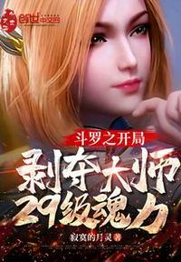 斗罗之开局剥夺大师29级魂力无错