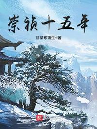 崇祯十五年无错版