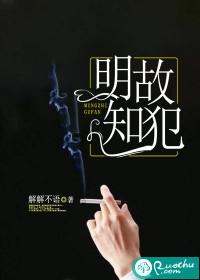 明知故犯的爱