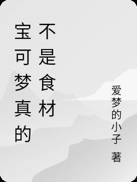 宝可梦抱枕