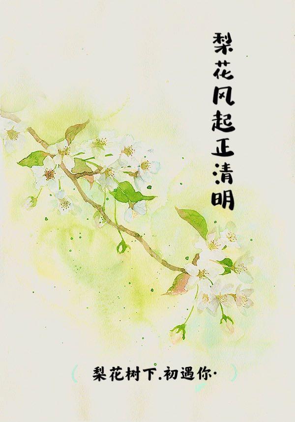 梨花风起正清明有什么作用