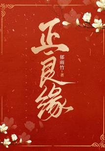 正良缘无弹窗