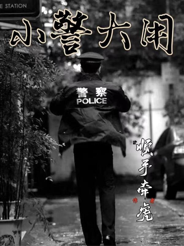 小警大用第二部叫什么