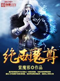 绝世魔尊宁夜辰与洛如缨全集