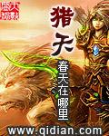 猎天使魔女steam叫什么