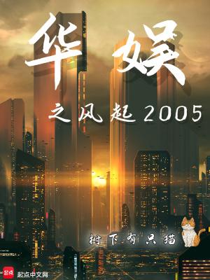 华娱之风起2005txt