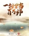 一剑曾当百万师完整版