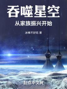 吞噬星空从家族振兴开始 第519章