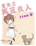 yzmb重生之再觅良人