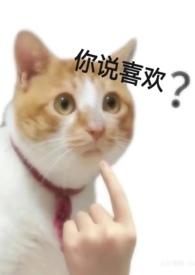 爱不起