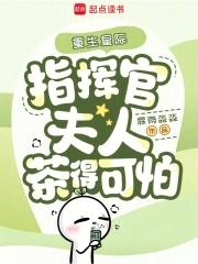 星际之指挥官系统