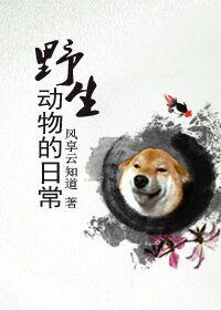 野生动物的生存状况