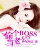 隐婚吧!BOSS老公