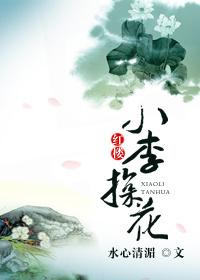 红楼小李探花 水心清湄