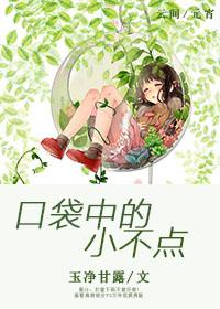 口袋里的小人电影