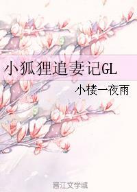 小狐狸的追妻日常gl