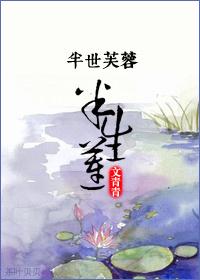 古代妃小传