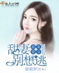 缘由天定隐婚甜妻别想逃